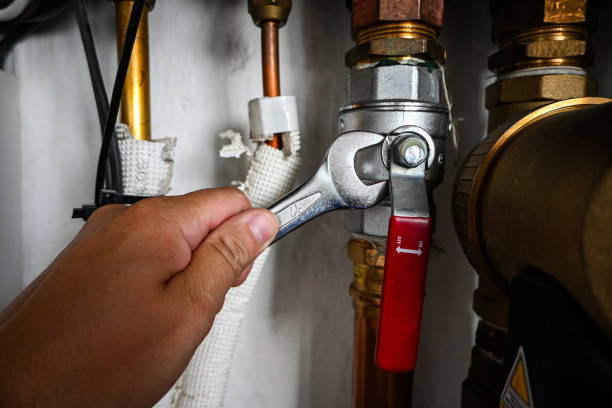 Best Clogged Drain Plumber  in Lowell, IN